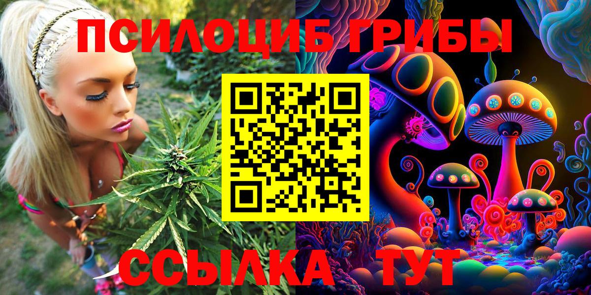 Новоалтайск  Галлюциногенные грибы Magic Shrooms  Вход с VPN 